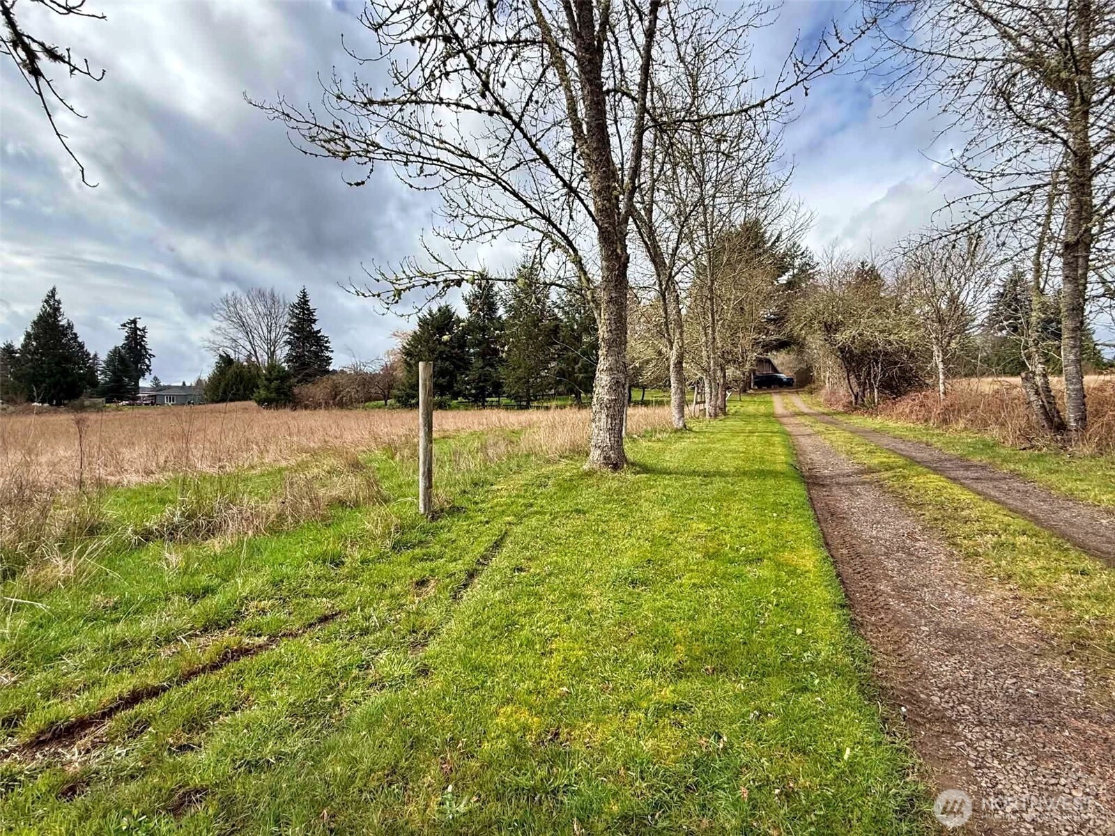 141 Filbert Road Silver Creek WA 98585