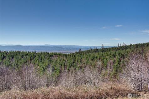130 Upland Drive Woodland WA 98674