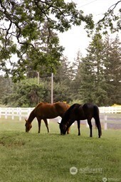 4716 266th Street E Spanaway WA 98387