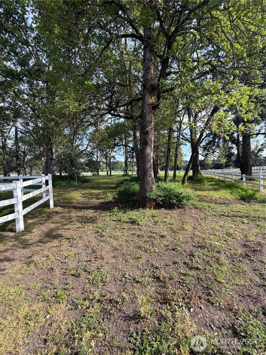 4716 266th Street E Spanaway WA 98387