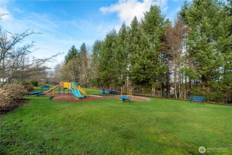 3047 Ridge View Place Dupont WA 98327