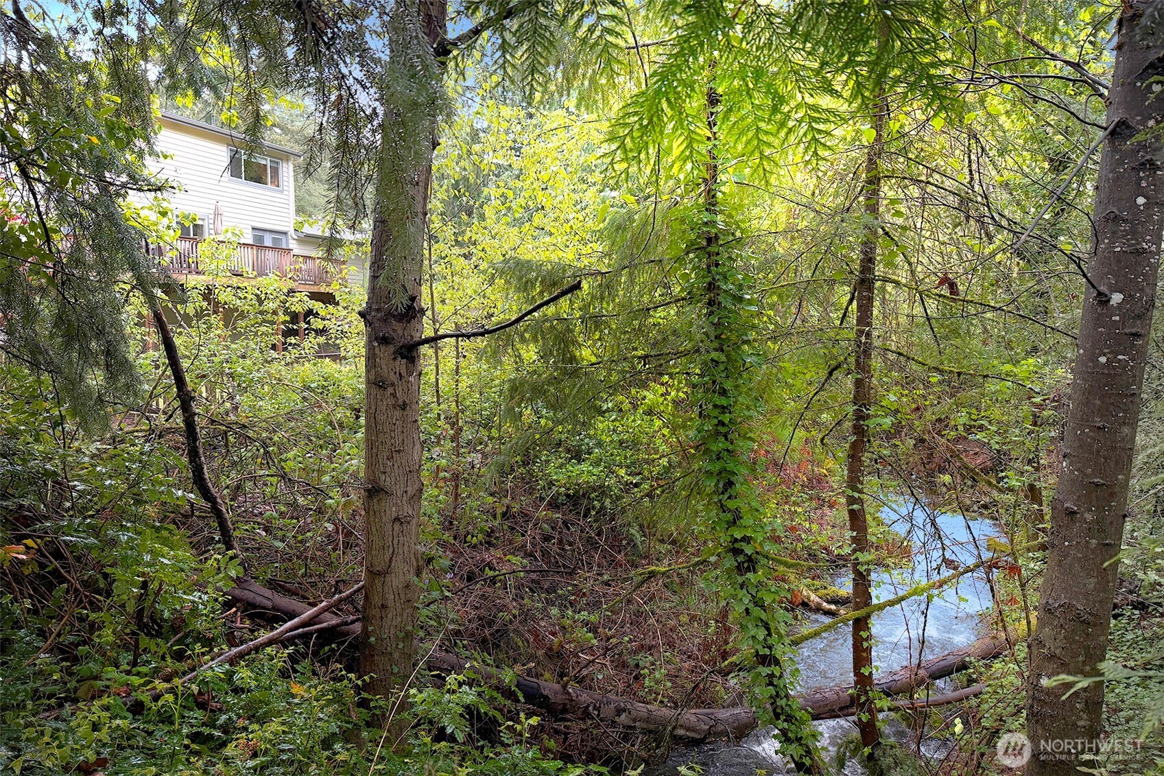 225 131st Avenue NE Bellevue WA 98005