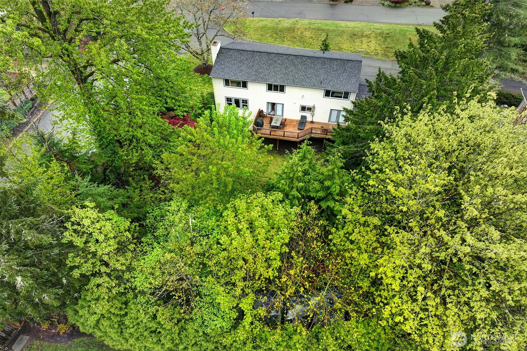 225 131st Avenue NE Bellevue WA 98005