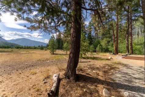 7 Mazama Meadows Lane Mazama WA 98833