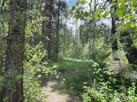 7 Mazama Meadows Lane Mazama WA 98833