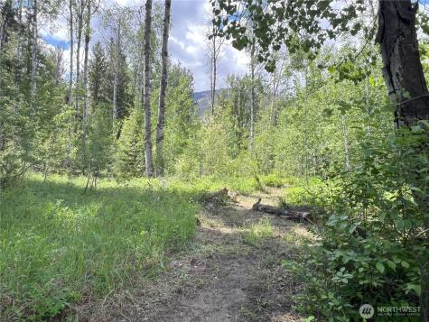 7 Mazama Meadows Lane Mazama WA 98833