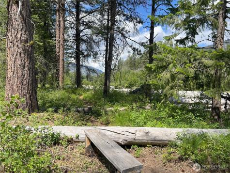 7 Mazama Meadows Lane Mazama WA 98833