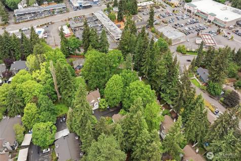 10123 NE 135th Lane Kirkland WA 98034