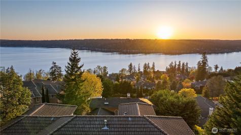 20619 NE 16th Street Sammamish WA 98074