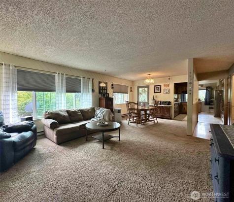 121 Pleasant View Drive Morton WA 98356