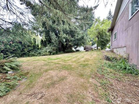 121 Pleasant View Drive Morton WA 98356