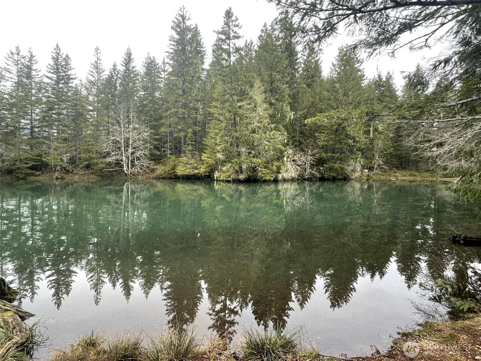 411 N Mount Seattle Way Hoodsport WA 98548