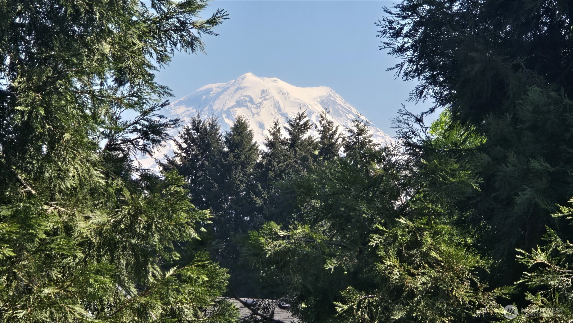 14519 144th Avenue E Orting WA 98360