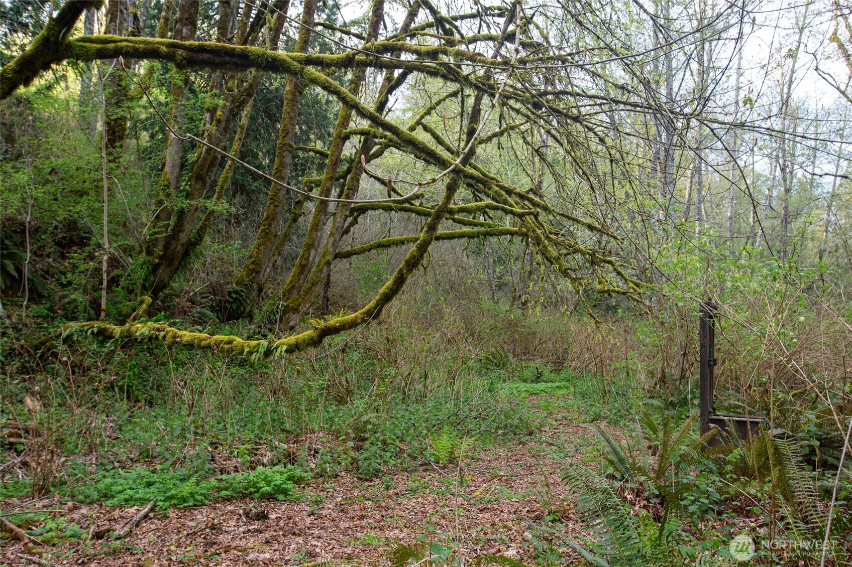 13101 Olalla Valley Road SE Olalla WA 98359