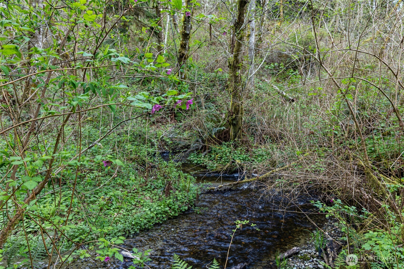 13101 Olalla Valley Road SE Olalla WA 98359