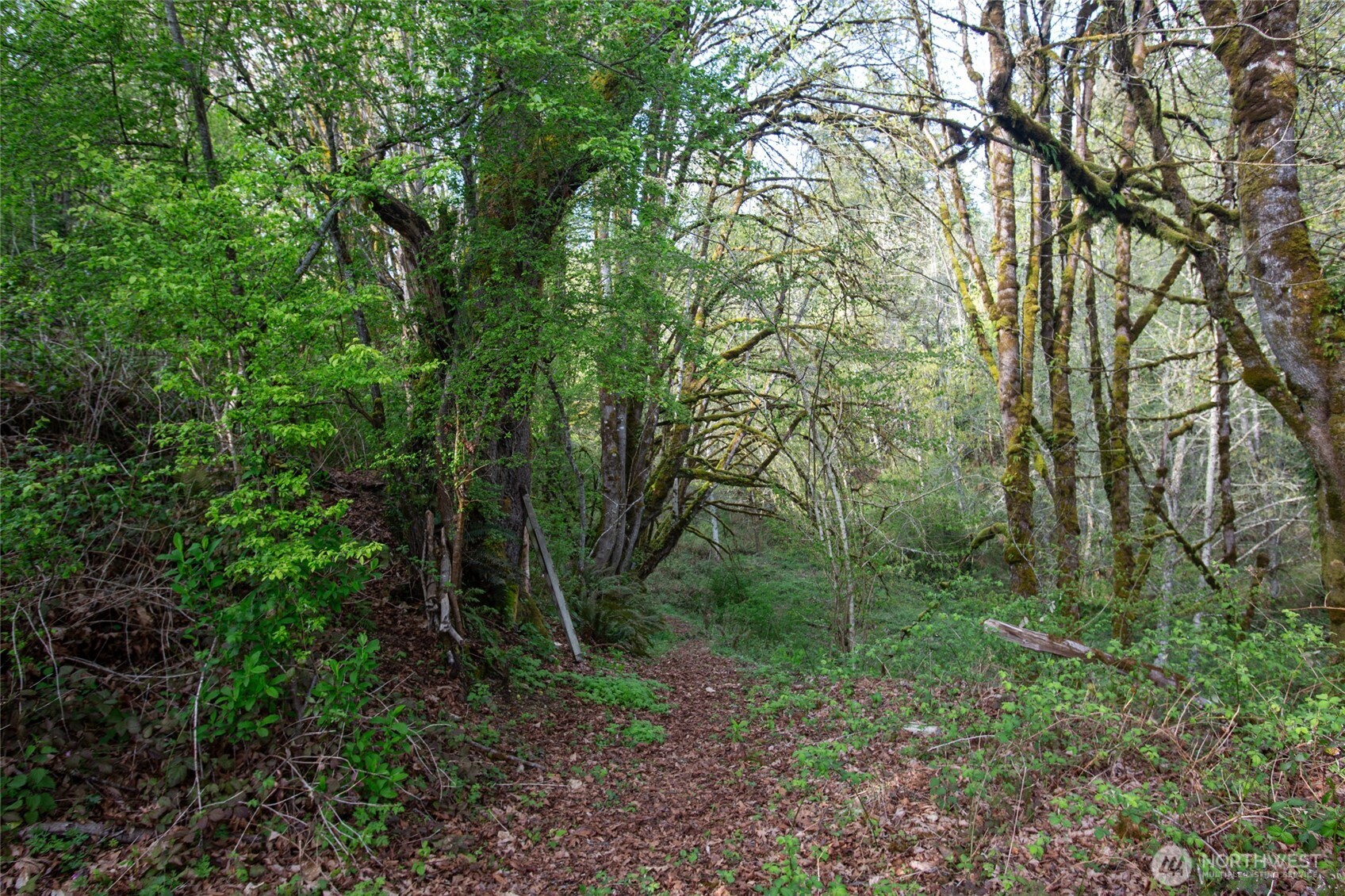 13101 Olalla Valley Road SE Olalla WA 98359