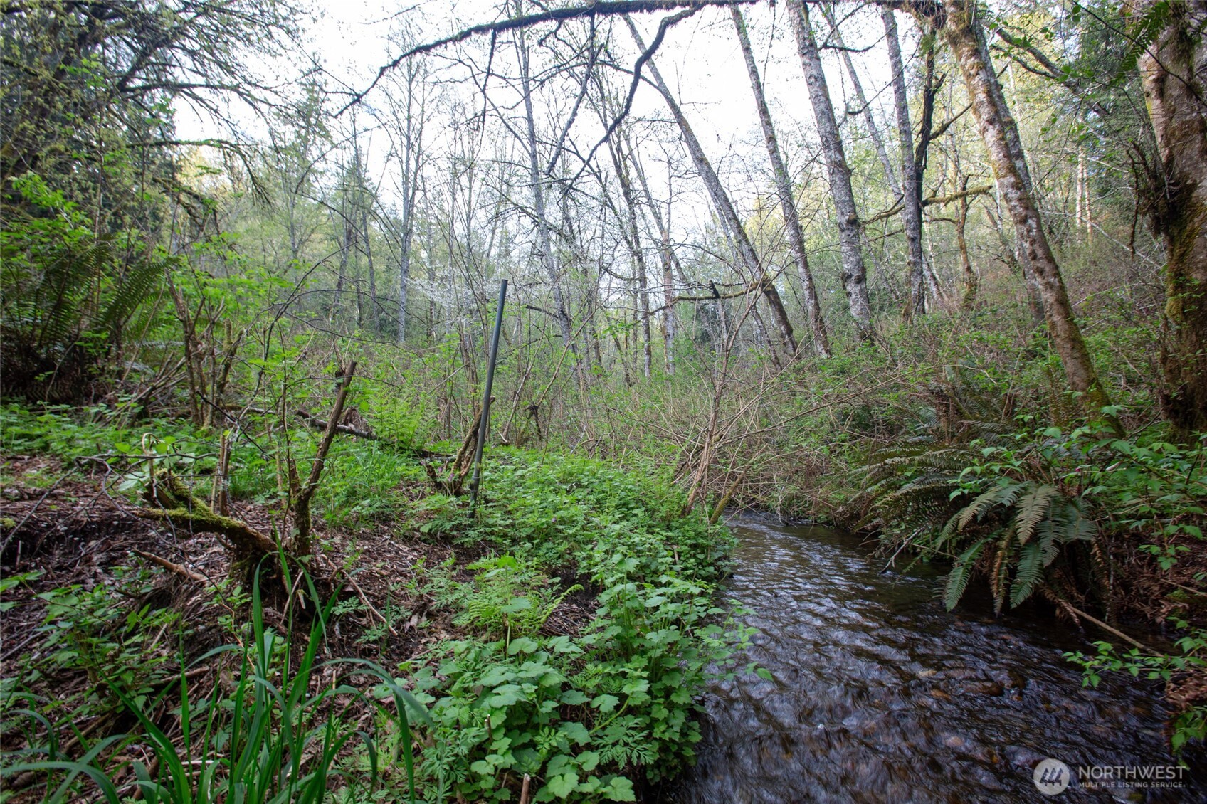 13101 Olalla Valley Road SE Olalla WA 98359