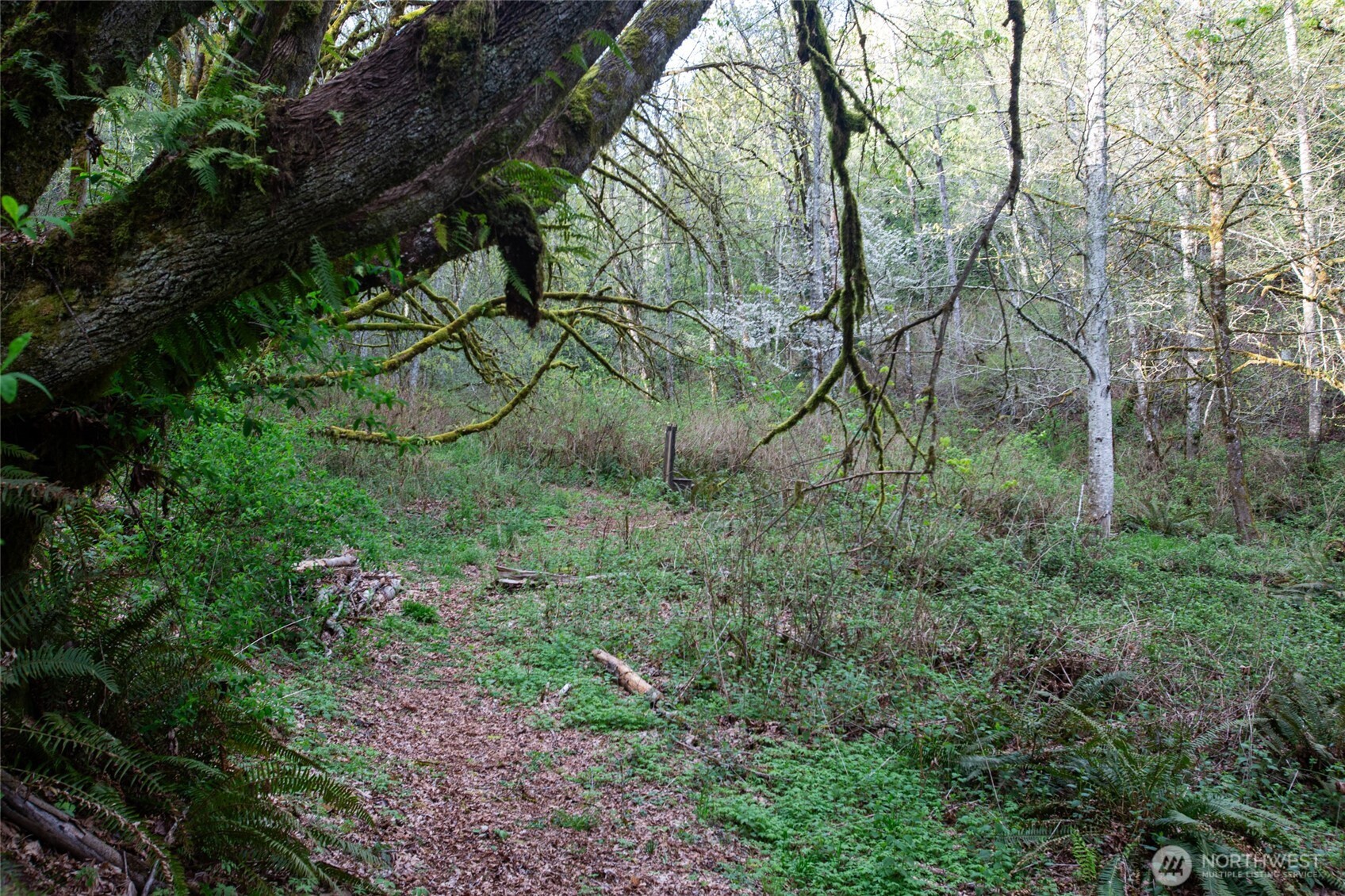 13101 Olalla Valley Road SE Olalla WA 98359