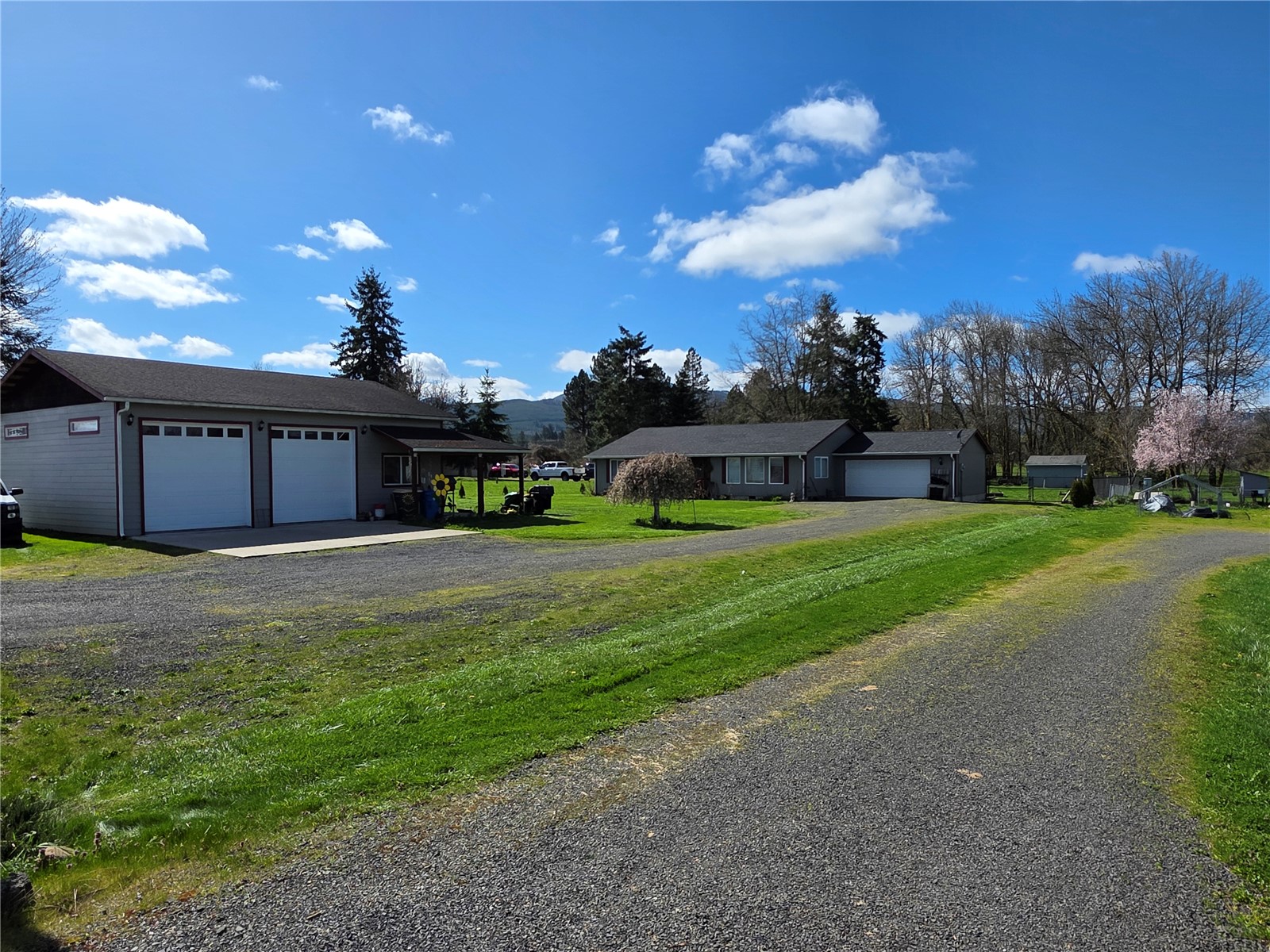 1294 Boistfort Road Curtis WA 98532
