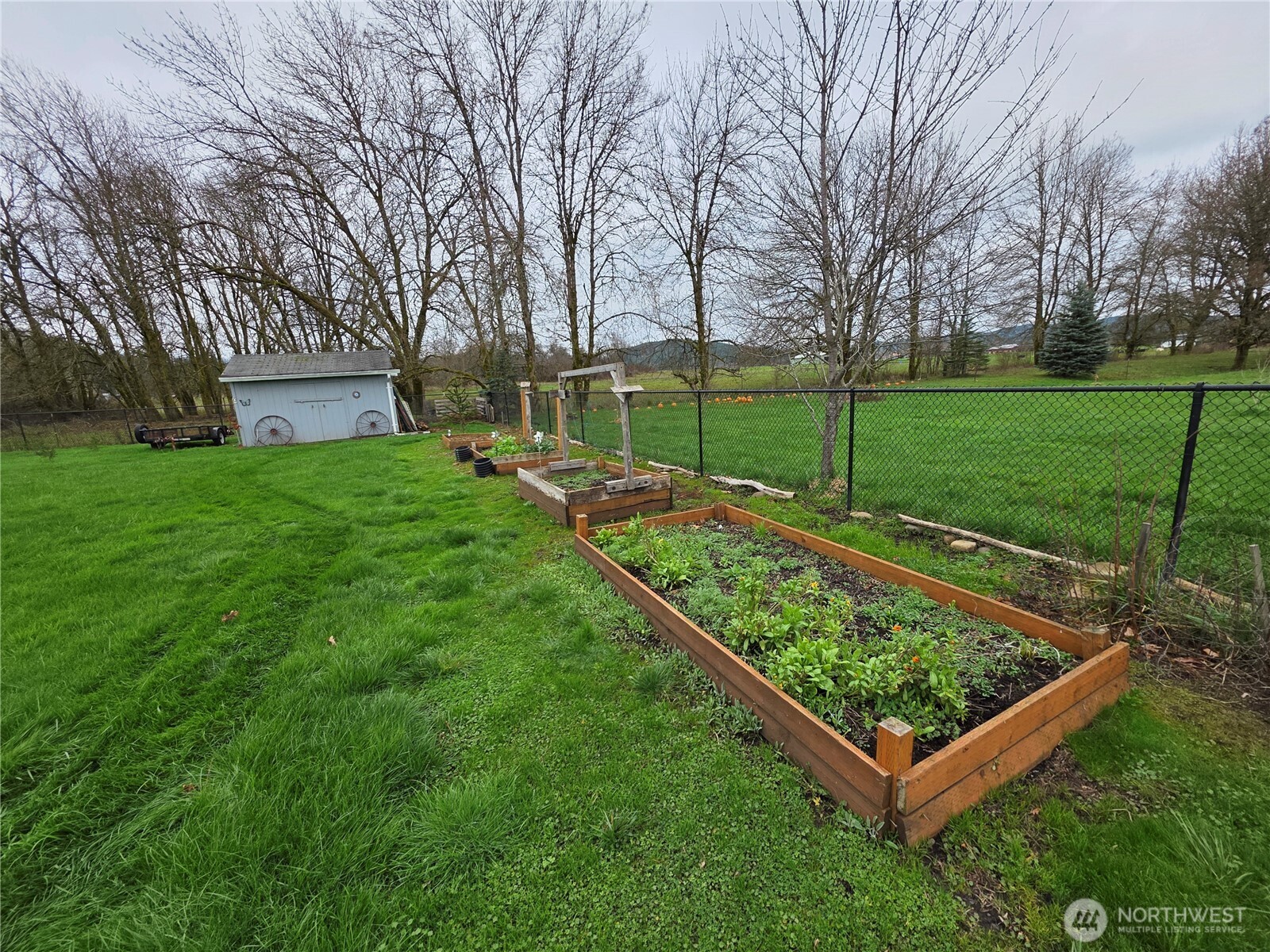 1294 Boistfort Road Curtis WA 98532