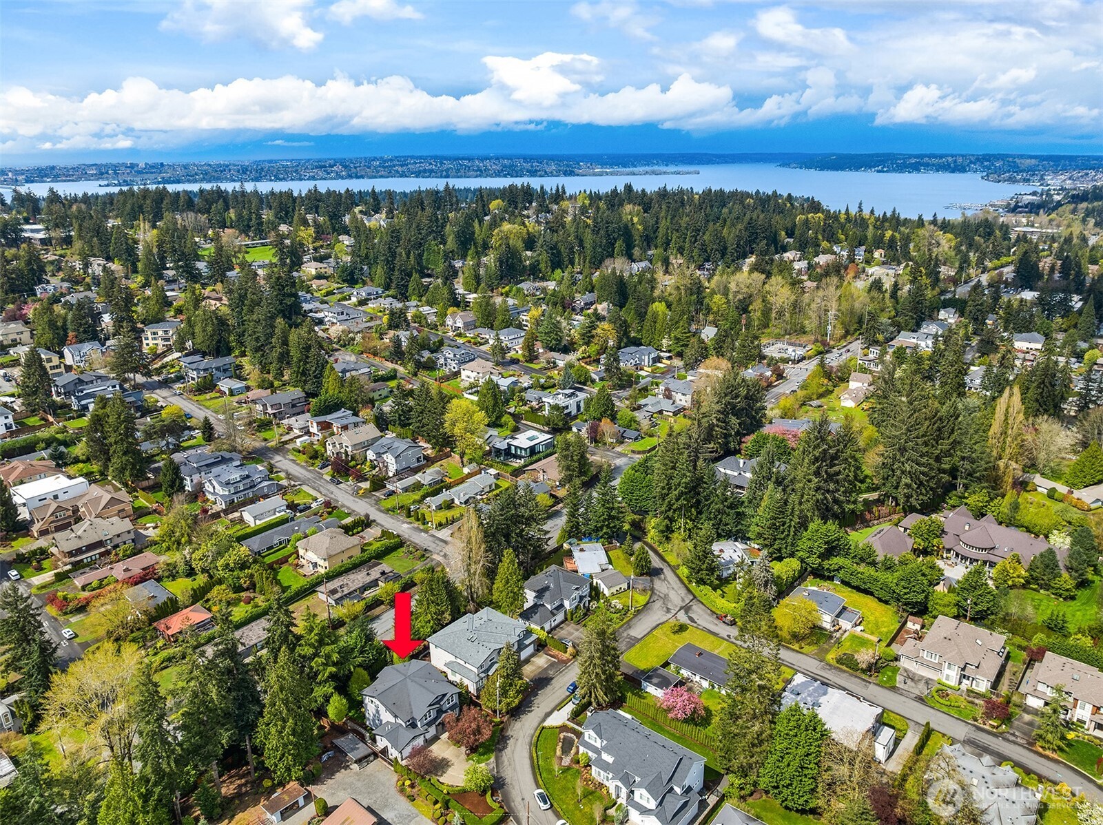 2005 105th Avenue NE Bellevue WA 98004