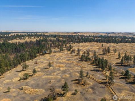 36377 S Bootstrap Lane Cheney WA 99004