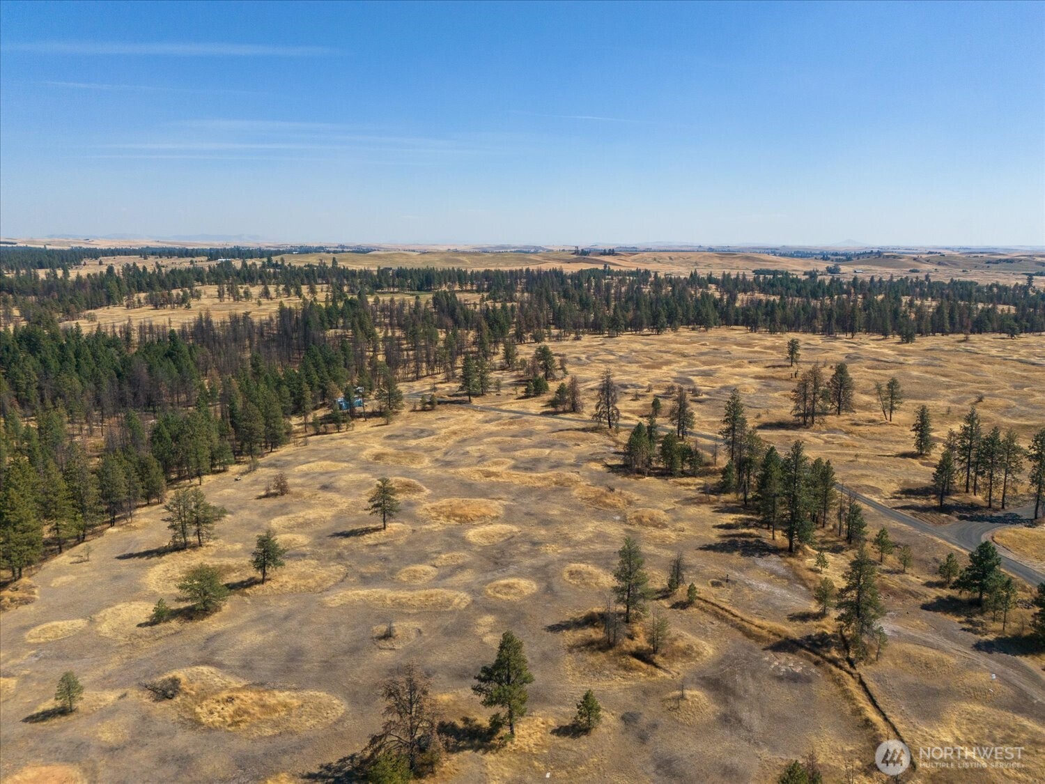 36377 S Bootstrap Lane Cheney WA 99004