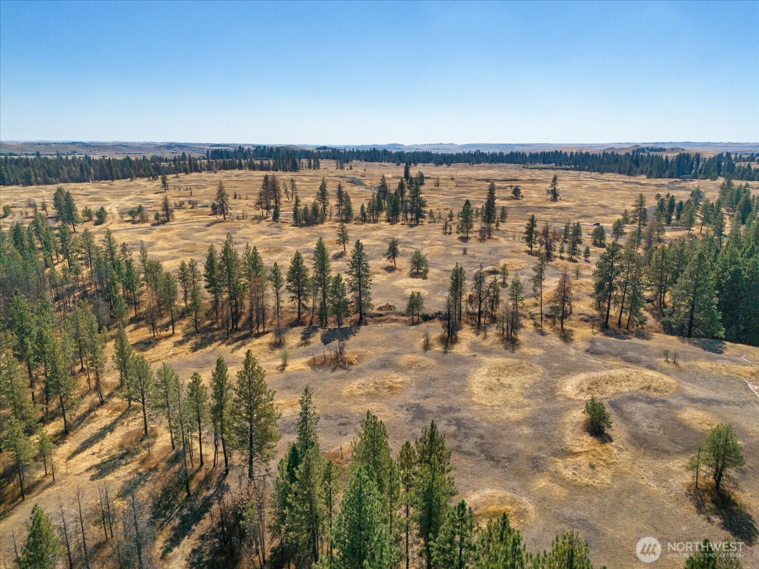 36377 S Bootstrap Lane Cheney WA 99004