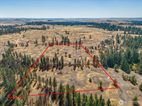 36377 Bootstrap Lane Cheney WA 99004
