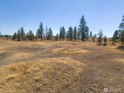 36377 S Bootstrap Lane Cheney WA 99004