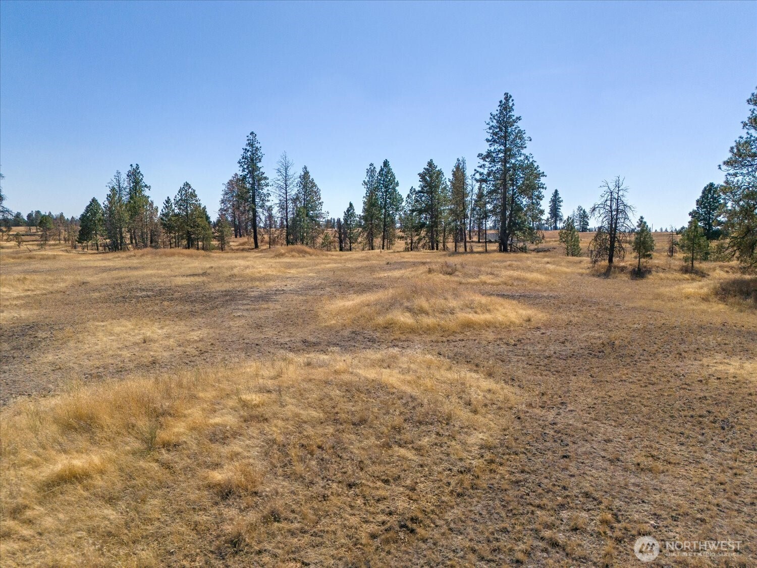 36377 S Bootstrap Lane Cheney WA 99004
