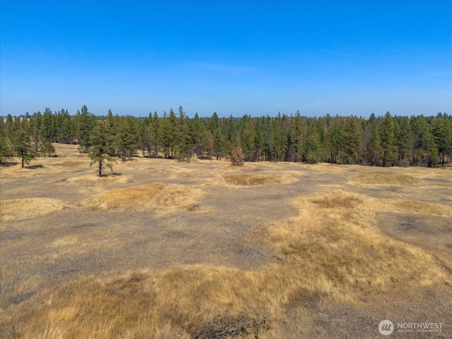 36377 S Bootstrap Lane Cheney WA 99004