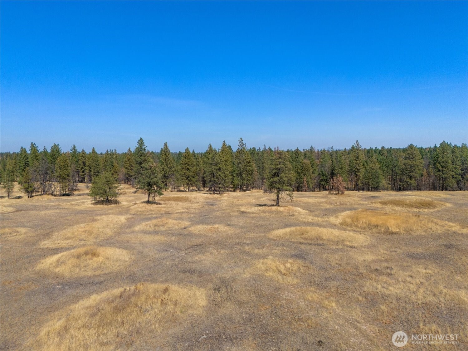 36377 S Bootstrap Lane Cheney WA 99004