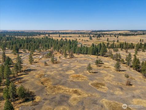 36377 S Bootstrap Lane Cheney WA 99004