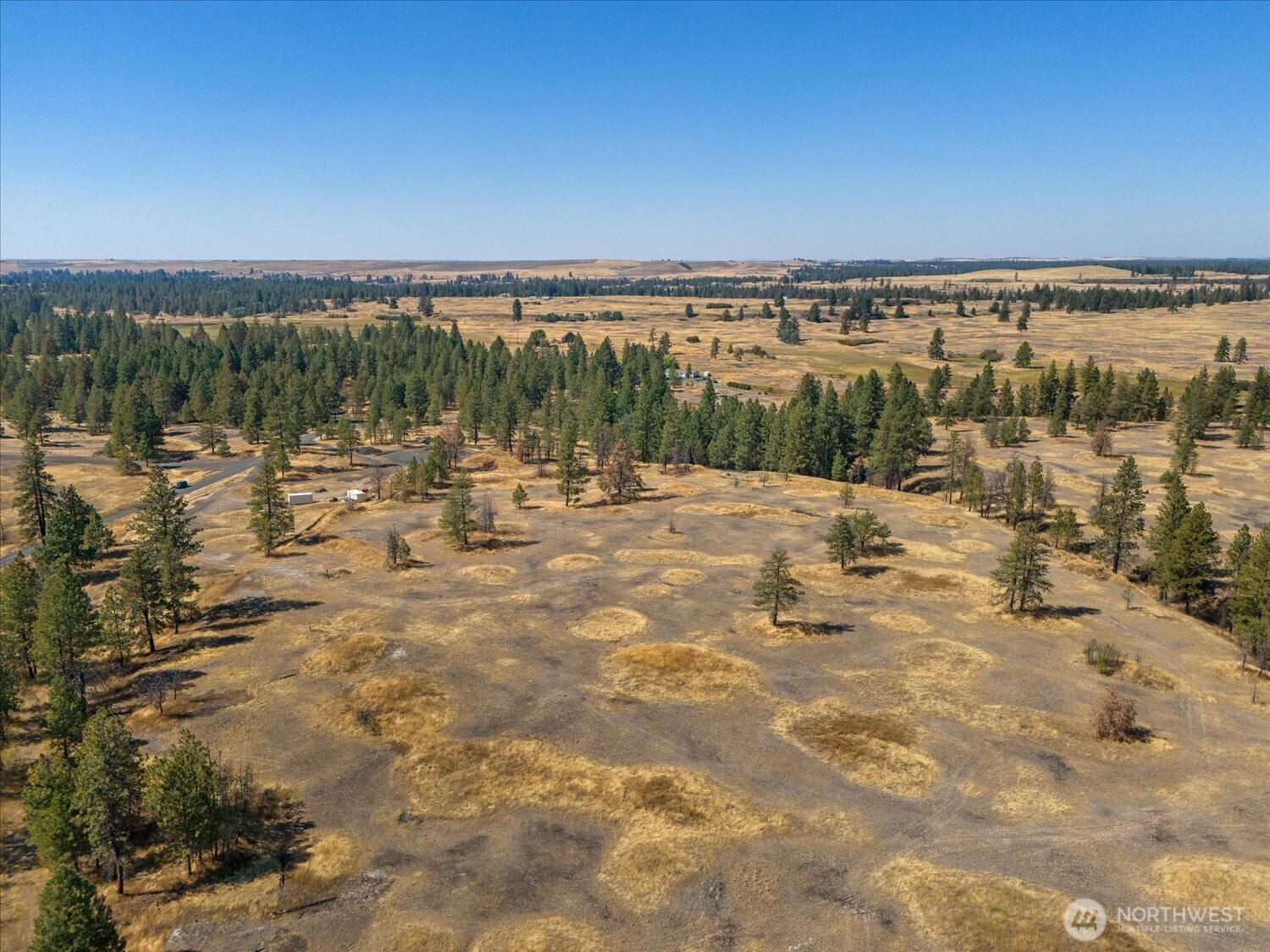 36377 S Bootstrap Lane Cheney WA 99004