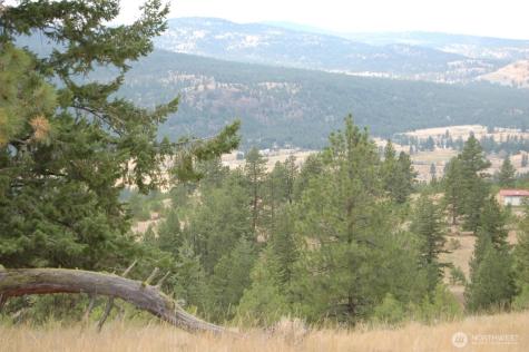 21 Deer Ridge Road Tonasket WA 98855