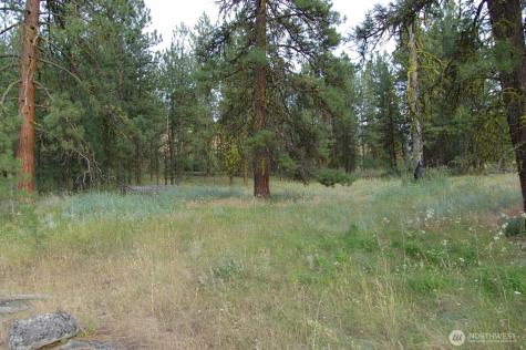 21 Deer Ridge Road Tonasket WA 98855