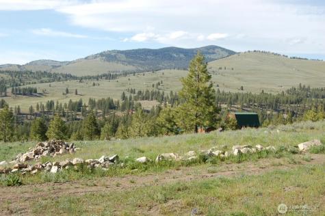 21 Deer Ridge Road Tonasket WA 98855