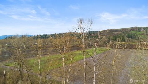 408 Tulip Lane Woodland WA 98674