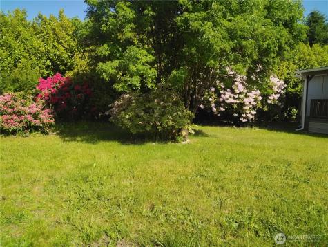 173 Riverview Drive Castle Rock WA 98611