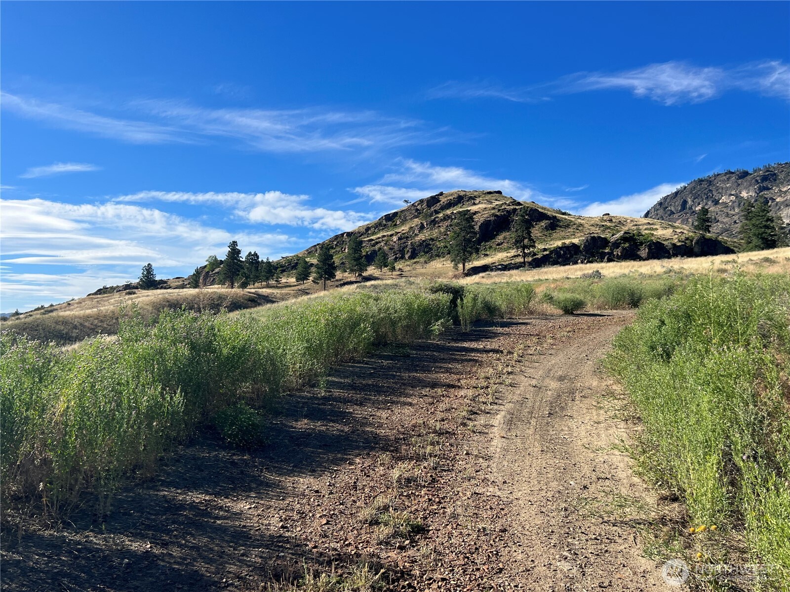 105 Swanson Mill Road Oroville WA 98844