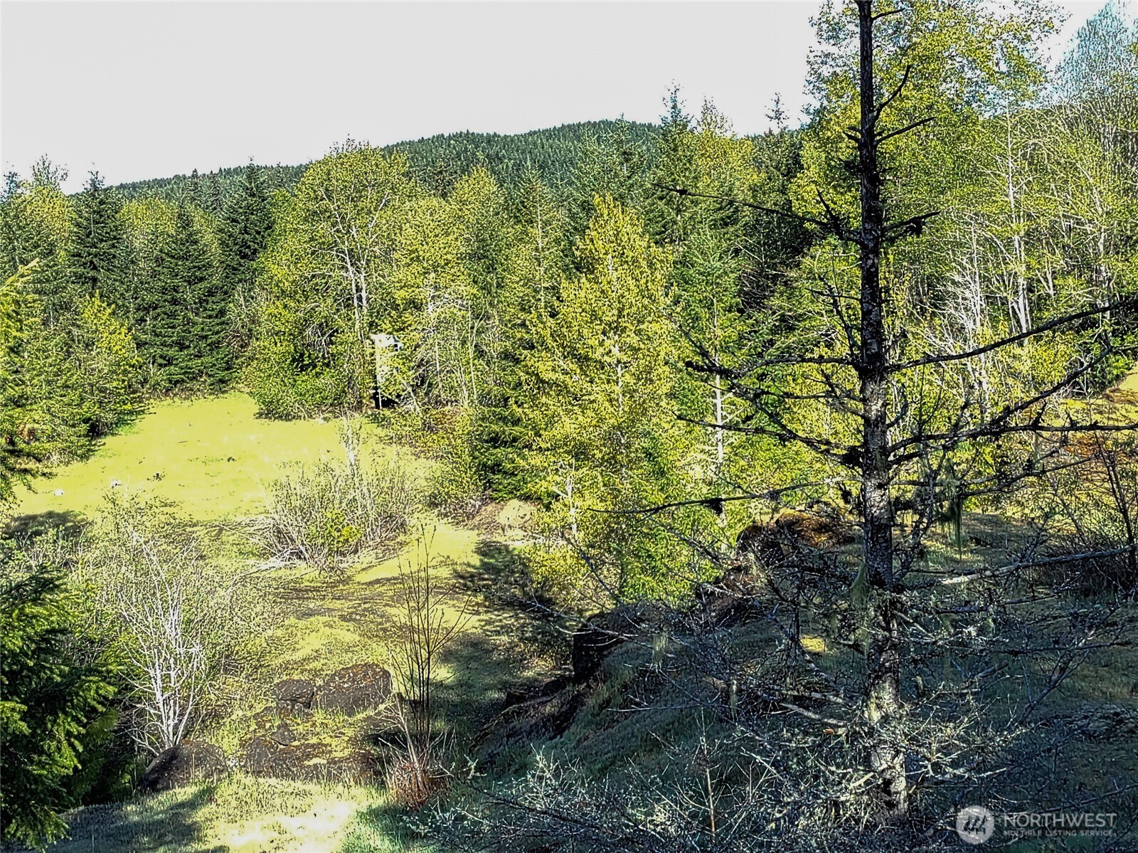 1513 State Route 8 Mccleary WA 98557