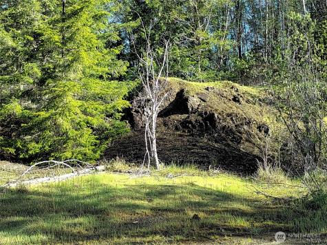 1513 State Route 8 Mccleary WA 98557