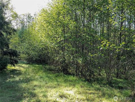 1513 State Route 8 Mccleary WA 98557