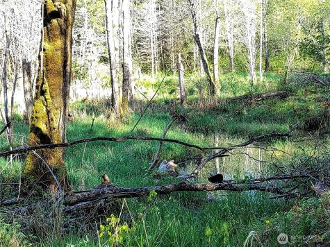 1513 State Route 8 Mccleary WA 98557