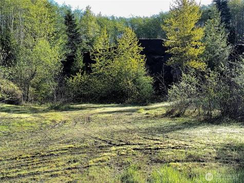 1513 State Route 8 Mccleary WA 98557