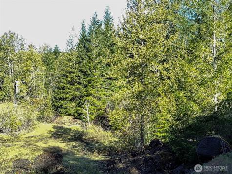 1513 State Route 8 Mccleary WA 98557