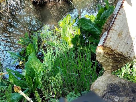 1513 State Route 8 Mccleary WA 98557