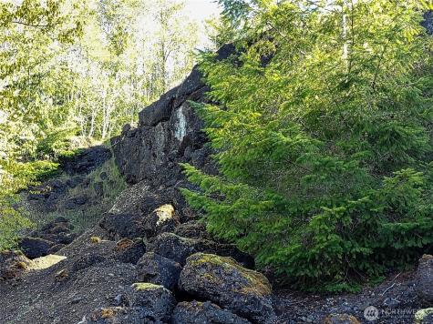 1513 State Route 8 Mccleary WA 98557