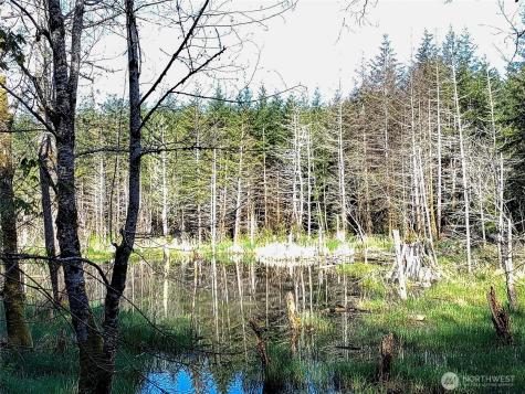 1513 State Route 8 Mccleary WA 98557